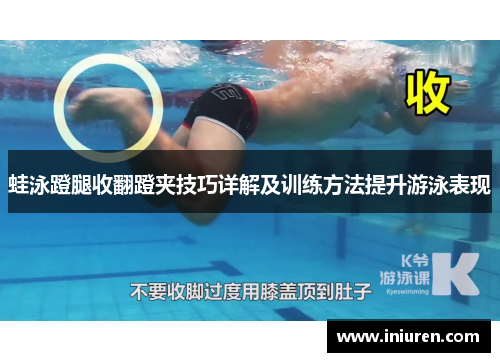 蛙泳蹬腿收翻蹬夹技巧详解及训练方法提升游泳表现