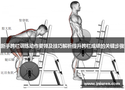 新手跨栏训练动作要领及技巧解析提升跨栏成绩的关键步骤